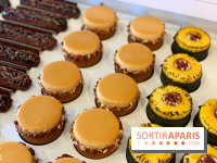 The French Bastards - rentrée 2019