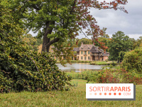 Le parcours des Arbres Admirables dans le domaine du château de Versailles