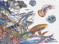 Les petits poissons de Namiko