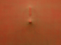 Nuit Blanche 2024 : une installation entre nature et culture à la Galerie Saint-Séverin