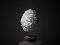 Eggxtraordinary 2026 exposition oeuf chocolat