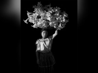 Noir et Blanc : une esthétique de la photographie, l'exposition au Grand Palais