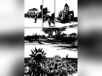 Van Gogh, l'exposition par Danijel Žeželj à la Galerie Glénat