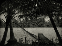 L'Odeur de la nuit était celle du jasmin : l'expo photo à l'Académie des Beaux-Arts