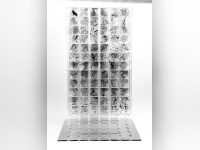 Vie Digitale, l'exposition de Rodolphe Barsikian à la Galerie Joseph