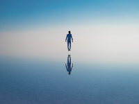 Art in movement, l'exposition photo en plein air de Bercy Village