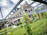 L'Atelier, jardins de l'Abbaye
