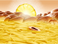 Mais vous êtes food