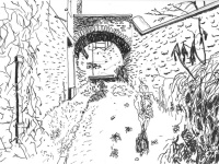 Athis mons nuit blanche