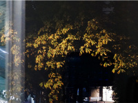 un pli du bord du monde