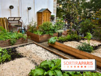 L'Hôtel des Grands Boulevards inaugure son potager suspendu