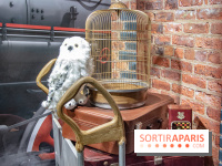 Wizarding World, la boutique officielle Harry Potter au Village JouéClub de Paris