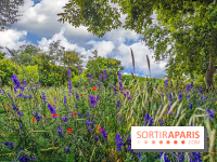 Visuel Paris Jardin des Plantes - Muséum MNHN