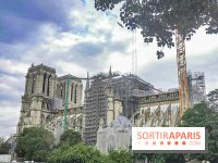 Notre Dame, démontage de l'échafaudage endommagé 