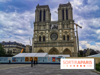 Notre Dame, démontage de l'échafaudage endommagé 