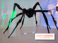 Araignées, Lucioles et Papillons au Musée en Herbe : nos photos