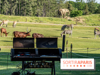 Photos du Dîner Safari du Zoo de Thoiry