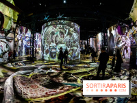 Photos : Exposition immersive Jimmy Nelson : The last sentinels à l’Atelier des Lumières 