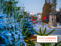 Photos : Illuminations et sapins de Noël Place de la Concorde