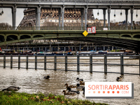 La Seine en crue février 2021