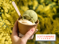 Photos : Wonderland Pâtisserie 