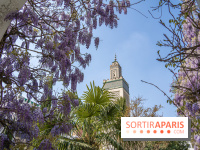 La Mosquée de Paris et son jardin en fleurs