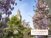 La Mosquée de Paris et son jardin en fleurs