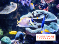 L'Aquarium Tropical de la Porte Dorée