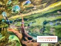 L'Aquarium Tropical de la Porte Dorée