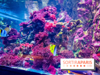 L'Aquarium Tropical de la Porte Dorée