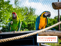 Parrot World, le parc animalier immersif d'Île-de-France