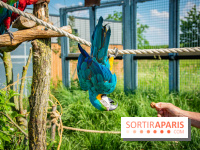 Parrot World, le parc animalier immersif d'Île-de-France