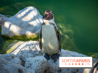 Parrot World, le parc animalier immersif d'Île-de-France