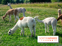 Parrot World, le parc animalier immersif d'Île-de-France