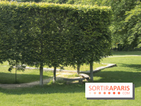 Le Domaine royal de Marly et son musée !