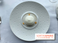 Oiseau Blanc Peninsula