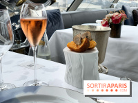 Oiseau Blanc Peninsula