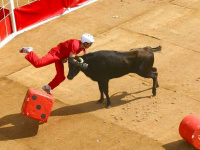 Le célèbre jeu télé Intervilles de retour sur France Télévisions en 2025