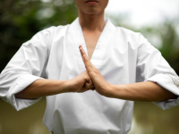 Le Festival des Arts Martiaux 2024 déménage à l'Adidas Arena