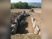 Visite guidée d'un chantier de fouilles archéologiques