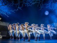 Swan Lake : le spectacle iconique de Matthew Bourne à La Seine Musicale