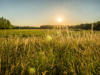 Journées nationales de l'Agriculture 2026 : balade sur la biodiversité à travers les champs
