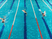 Le village des Championnats d'Europe de natation 2026 : la fan zone à Saint-Denis