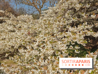 La Fête des sens s'invite au Jardin des Plantes