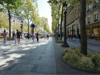 Paris : les Champs-Elysées change de visage pour les Jeux Olympiques de 2024
