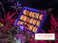 Bûches de Noël de Pierre Hermé 2021 et galettes 2022