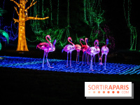 Thoiry Lumières Sauvages 2021-2022