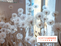 Le Musée Guimet propose une Carte blanche à Duy Anh Nhan Duc