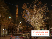 Illuminations de Noël 2021 de l'avenue Montaigne : nos photos