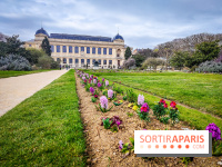 Visuels musée et monument - muséum histoire naturelle jardin des plantes